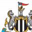 Chester-le-Street Advertiser: Football Team Logo for Newcastle United Chester-le-Street Advertiser: Football Team Logo for Newcastle United